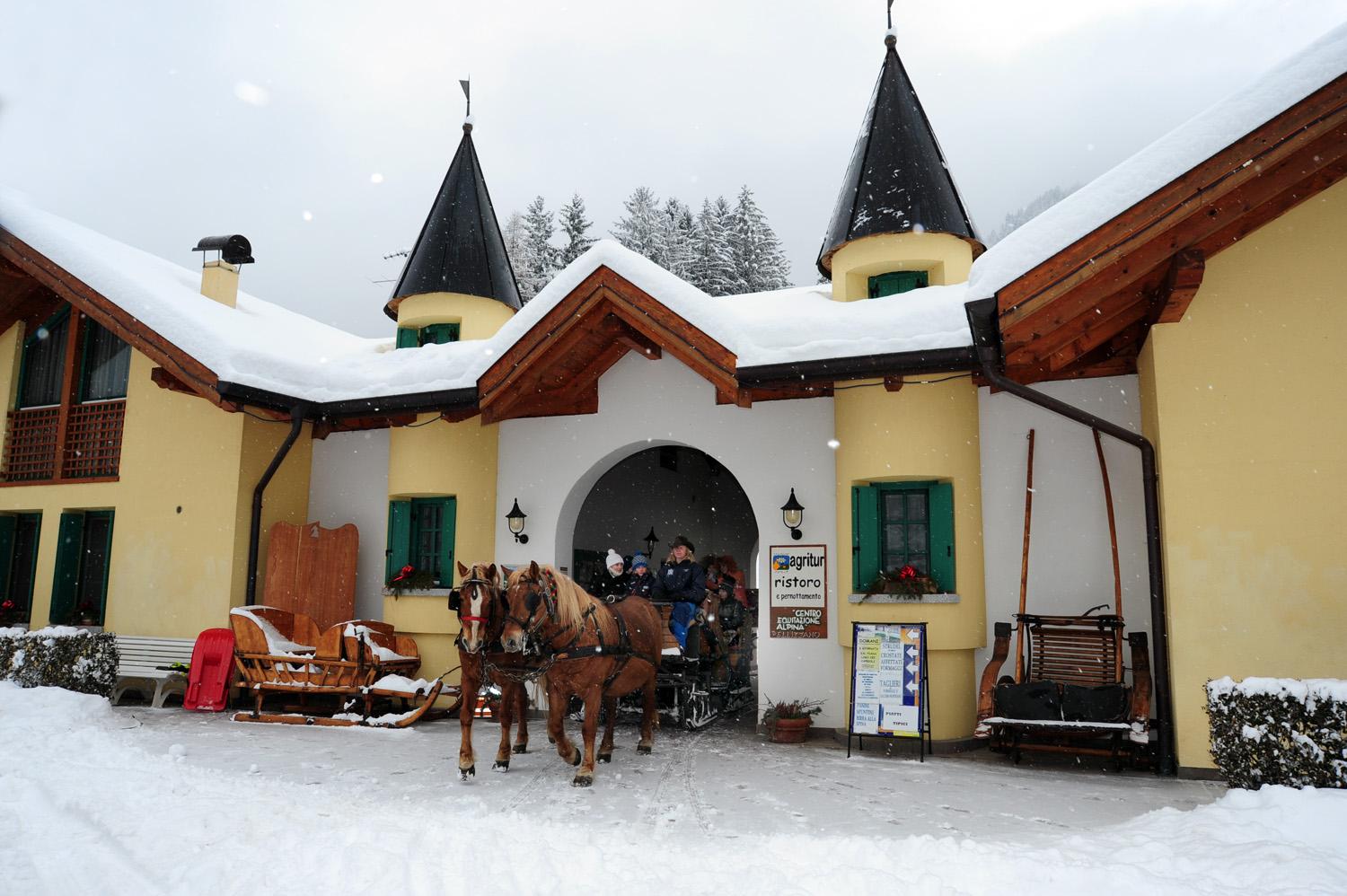 Agritur Centro Equitazione Alpina Val di Sole