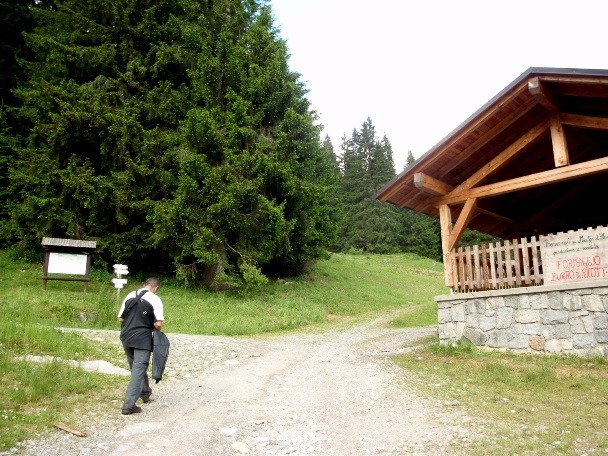 Malga D'Arnò