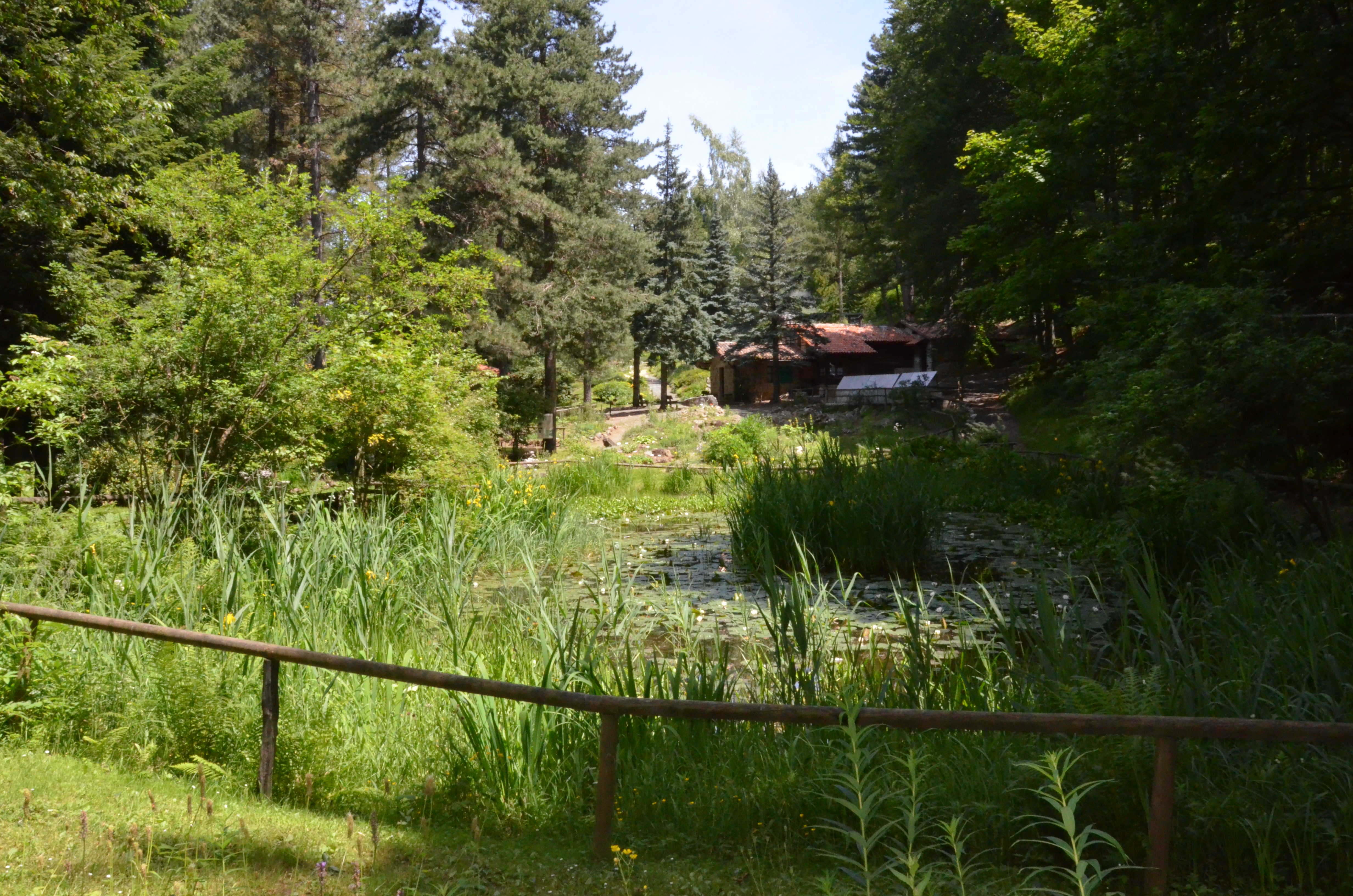 Giardino Botanico Alpino di Pietra Corva