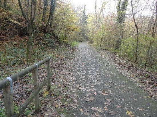 Pista Ciclabile della Valganna e Valmarchirolo