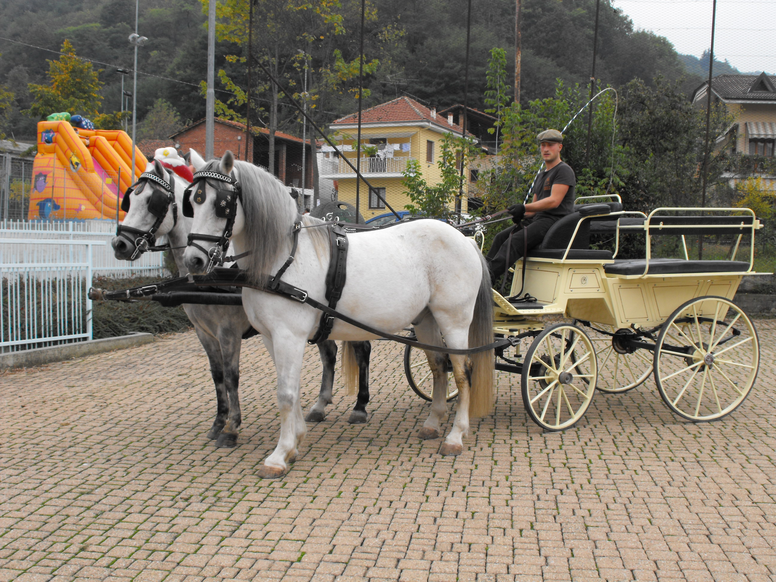 Servizi in Carrozza