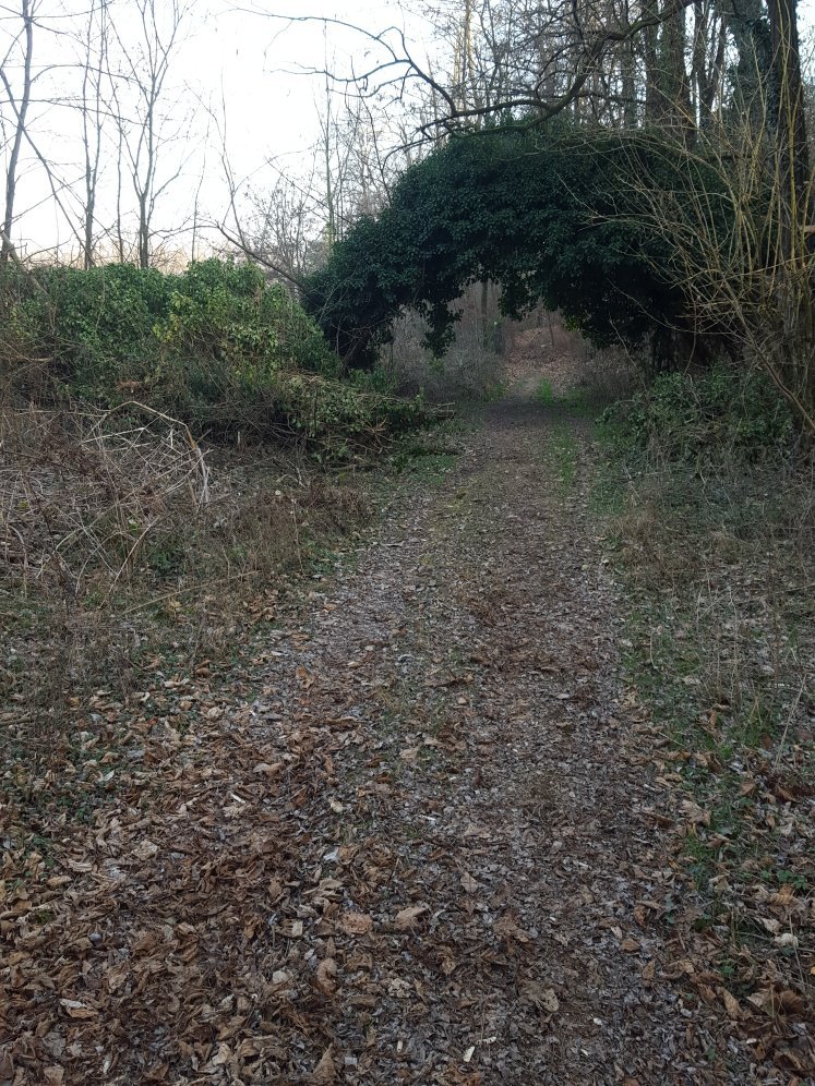 Riserva Naturale di Bosco Solivo