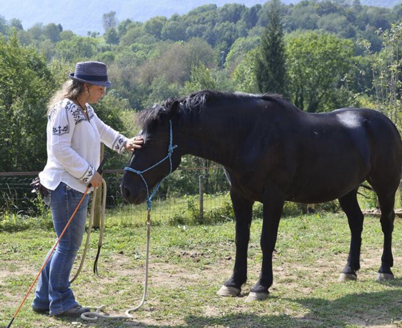 Associazione Wild Heart