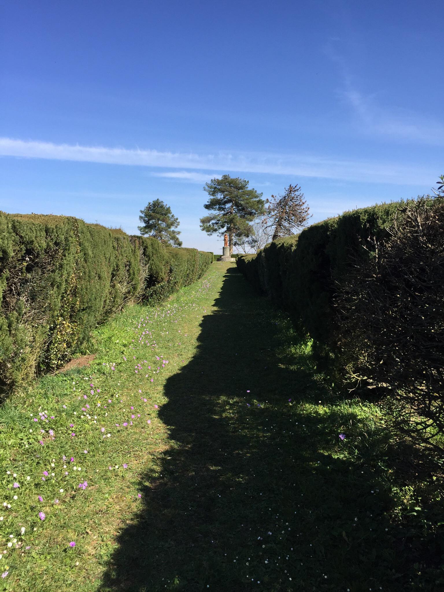 Riserva Naturale Statale di Montefalcone