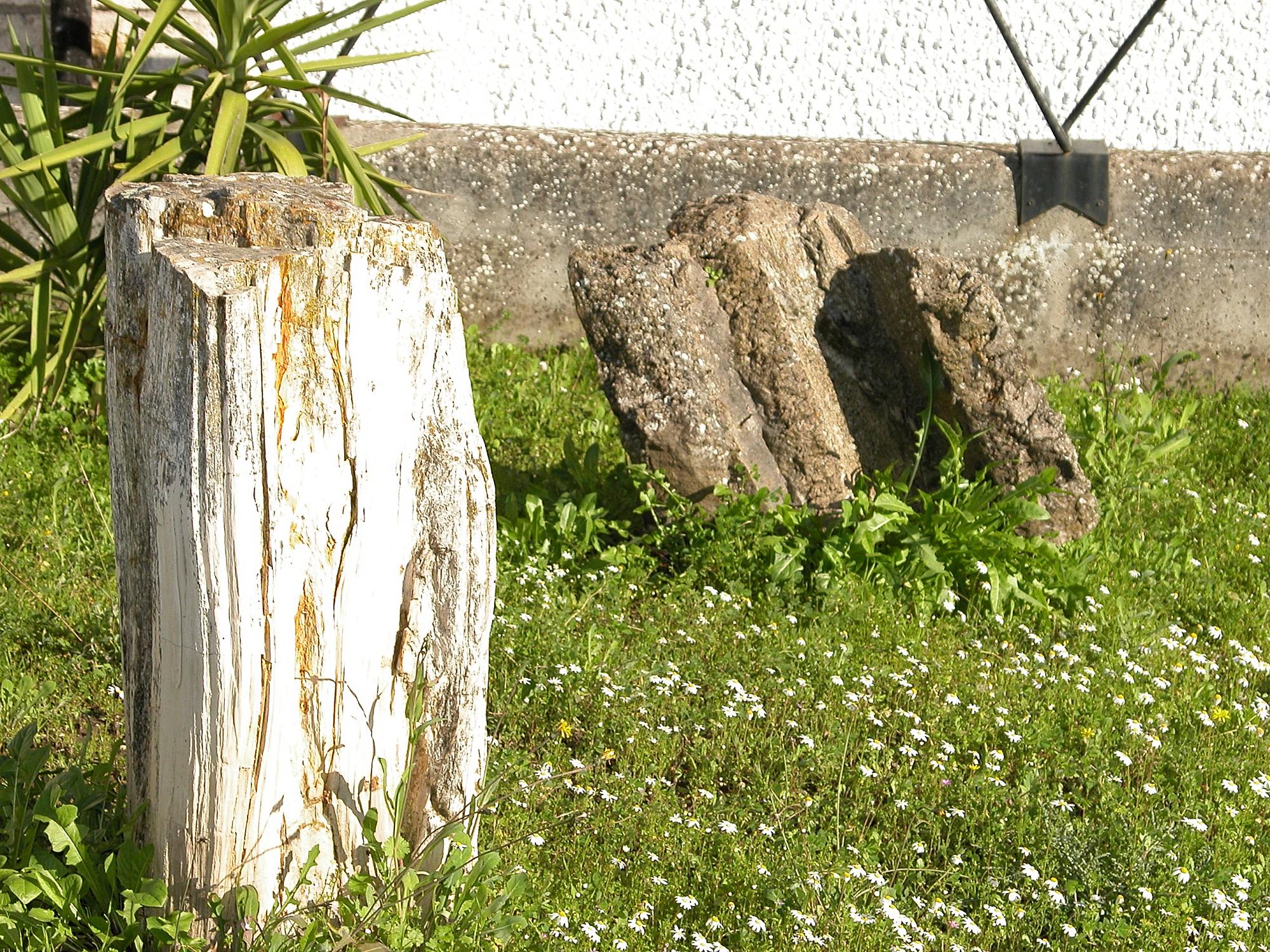 Museo Archeologico e Paleobotanico di Perfugas