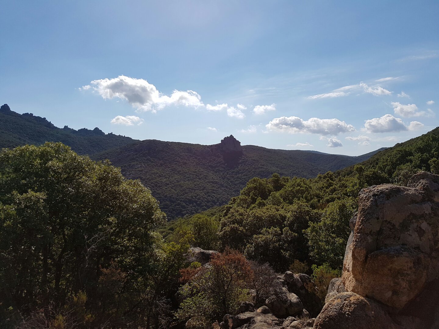 Foresta Demaniale dei Sette Fratelli