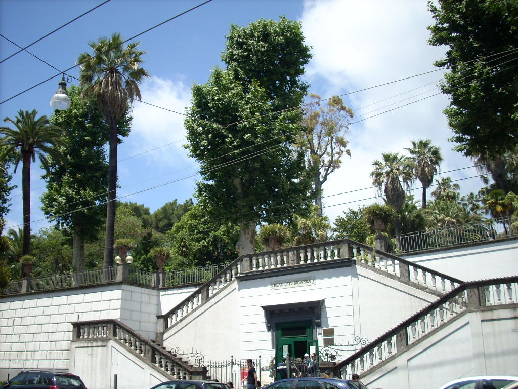 Orto Botanico di Napoli