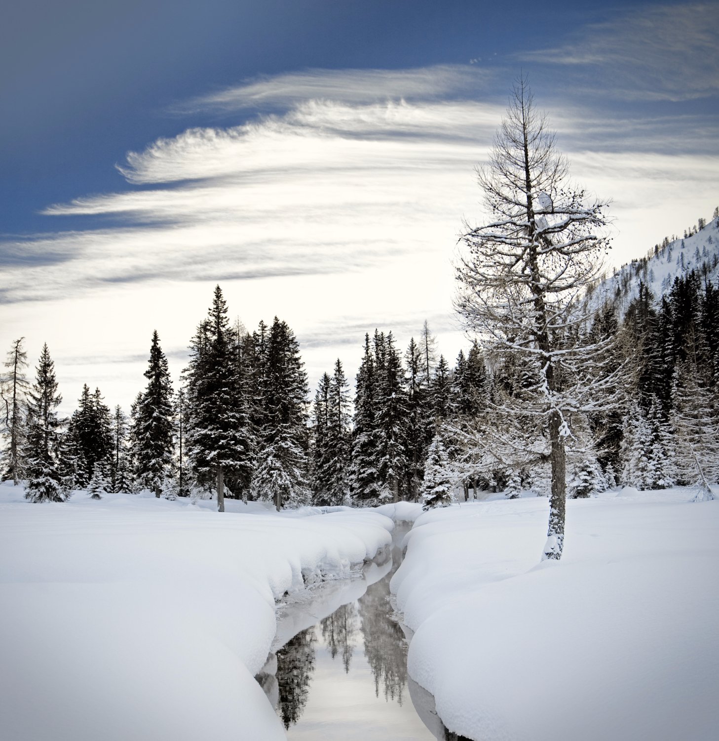 Parco Naturale Adamello Brenta Geopark