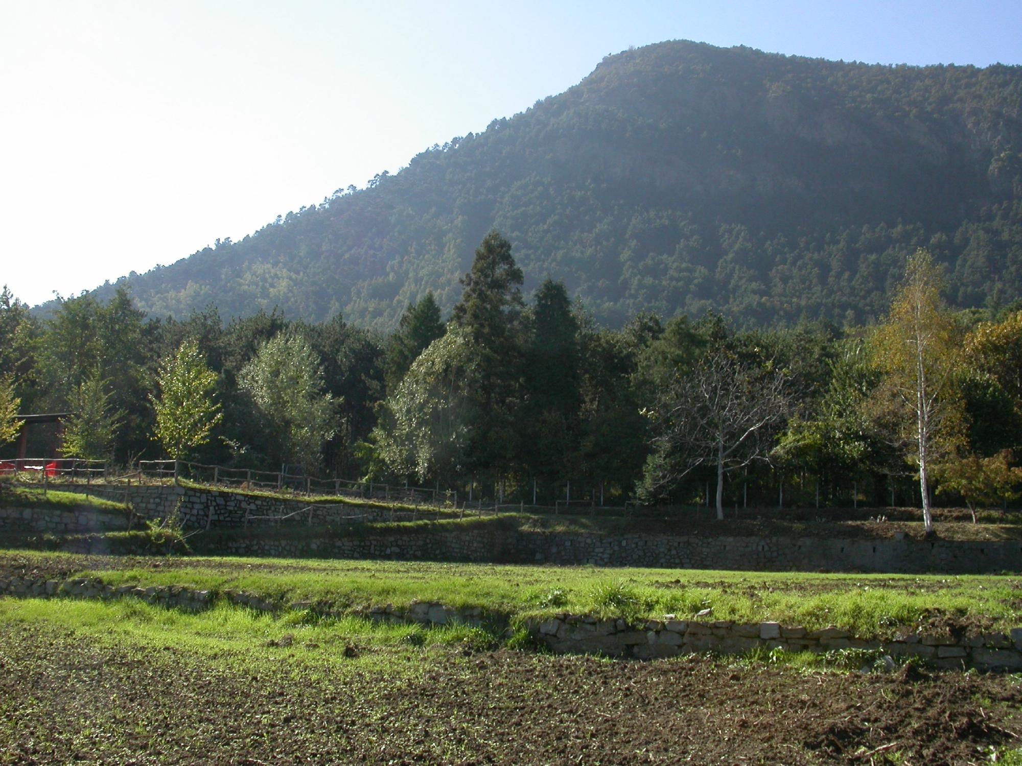 Parco Naturale del Monte San Giorgio