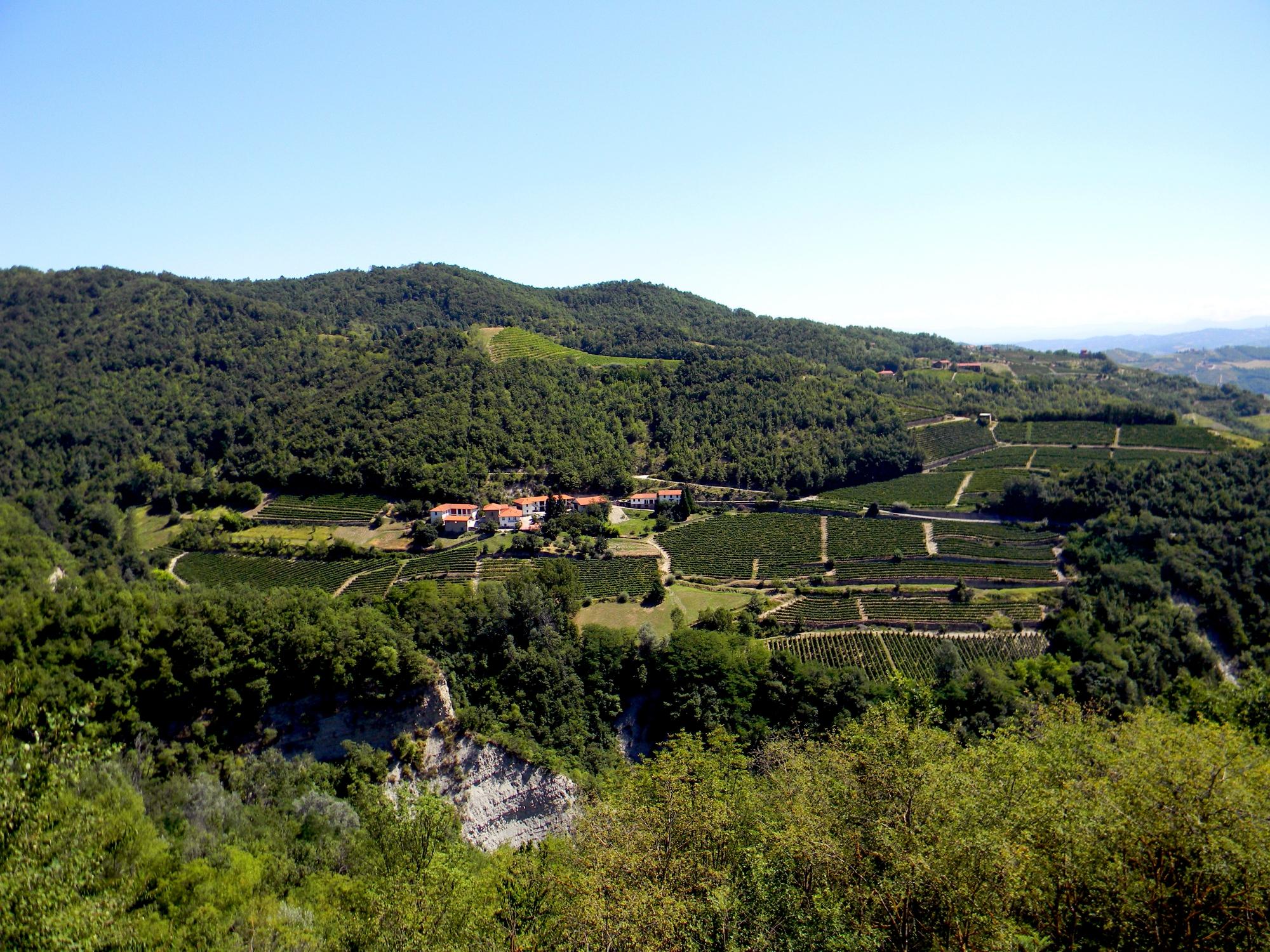 Borgo Moncalvo azienda vitivinicola