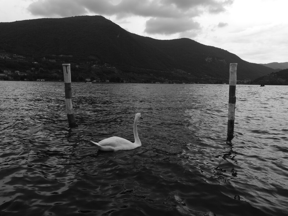 Navigazione Lago d'Iseo