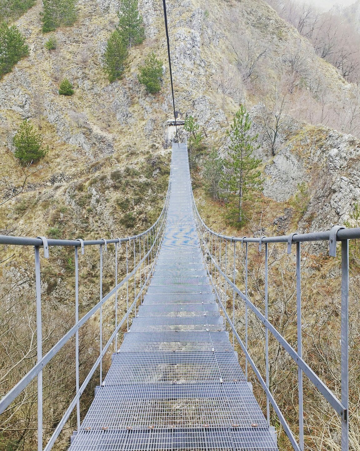 Ponte Tibetano