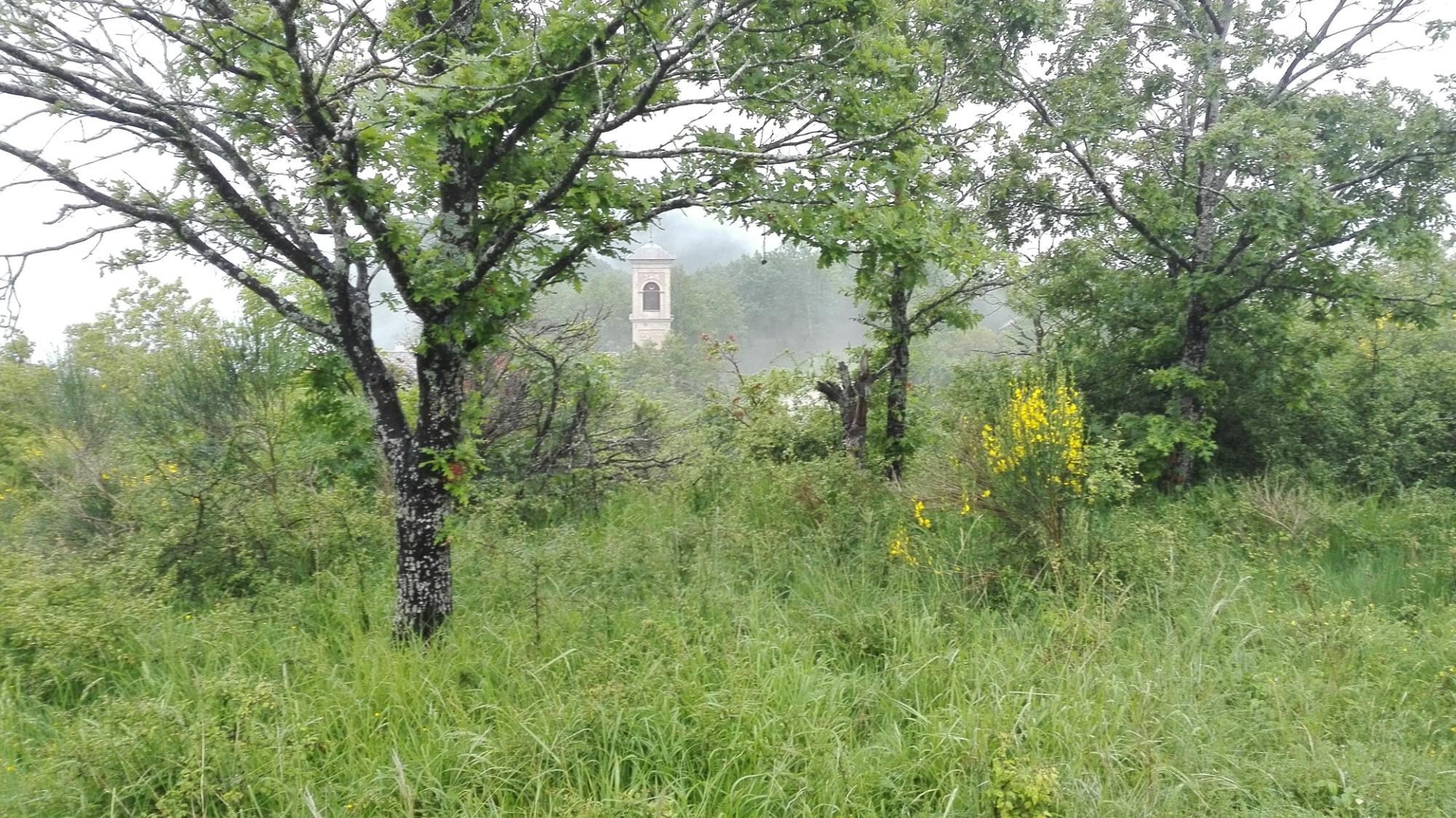 Santuario della Beata Vergine della Consolazione di Montovolo