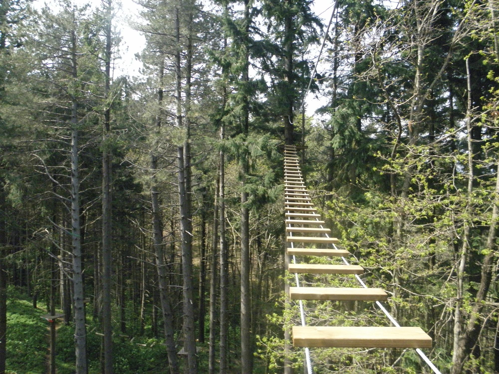 Parco Avventura Sospeso nel Verde