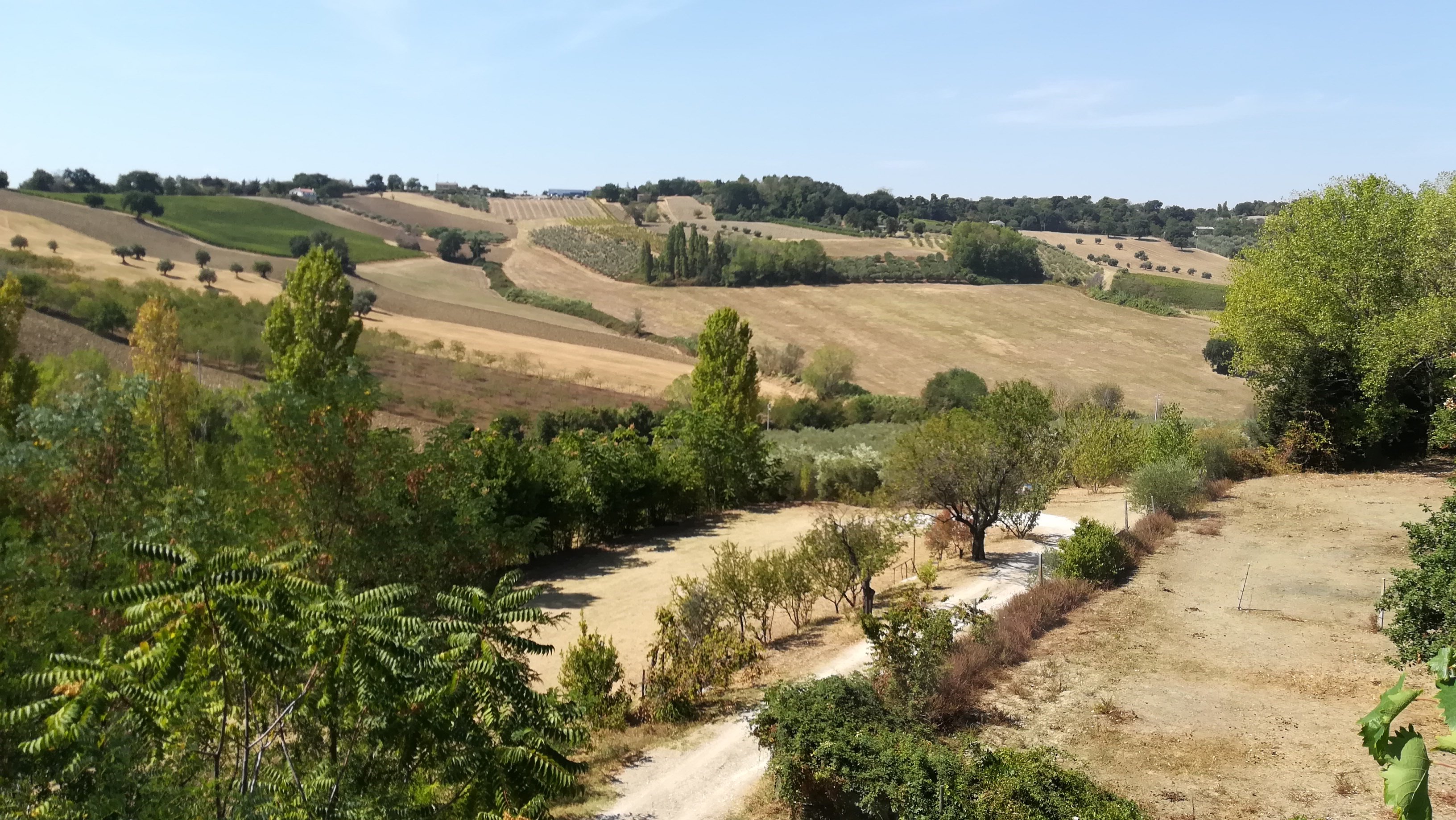 Parco Agrituristico Il Frutteto del Monte