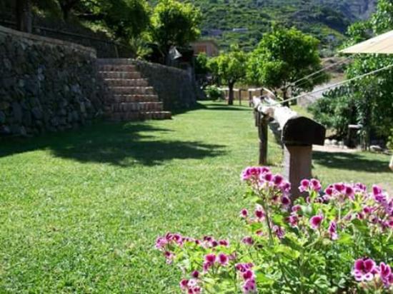 Agriculturale Terra di Santo Stefano