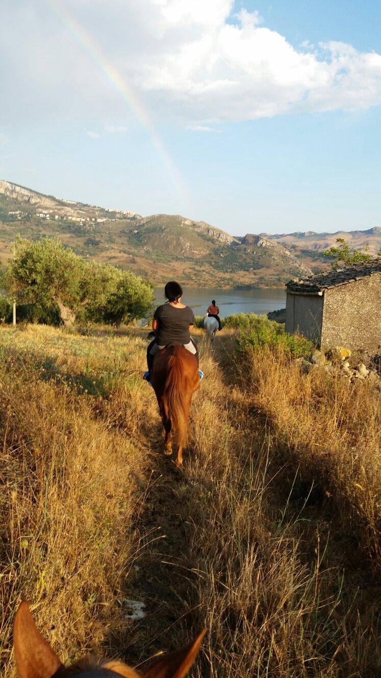 Amico Cavallo