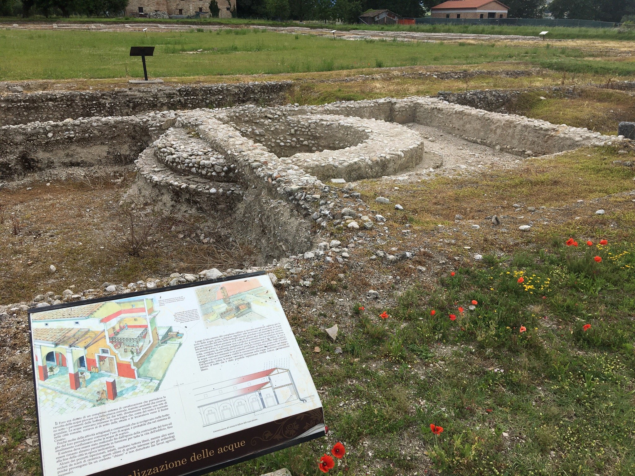 Parco Archeologico di Suasa