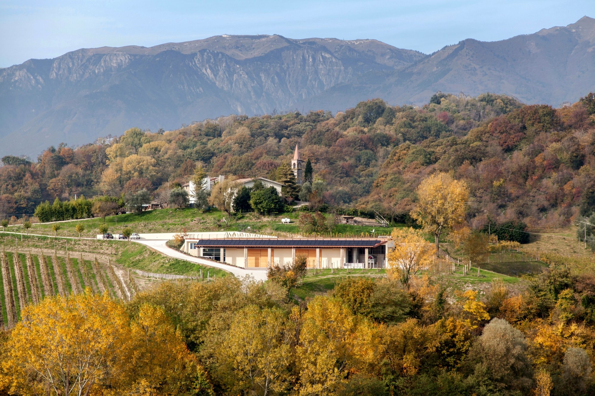 Tenuta Amadio