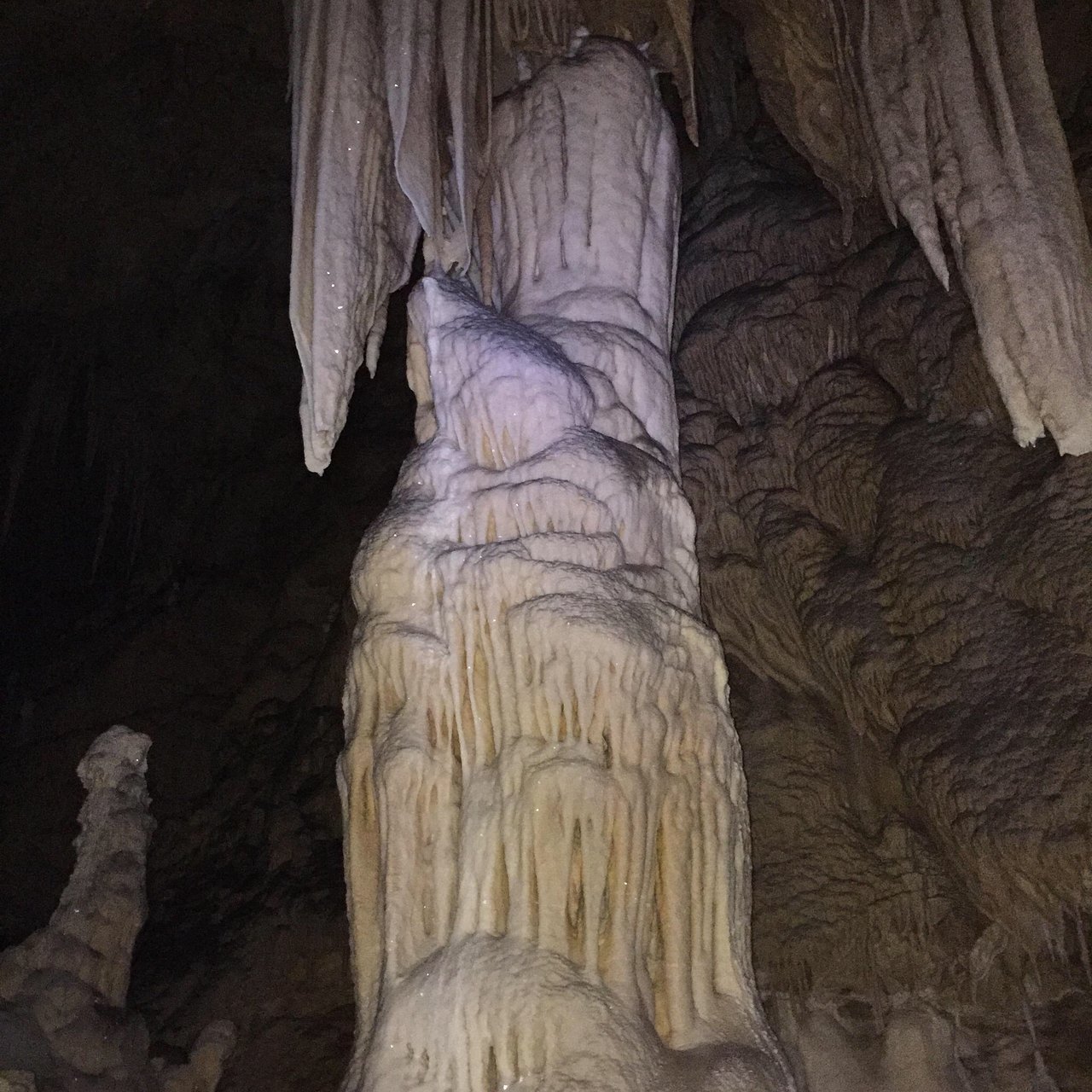Grotta del Cervo
