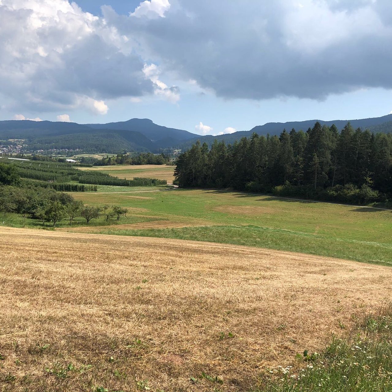 Ciclabile dell'Alta Val di Non