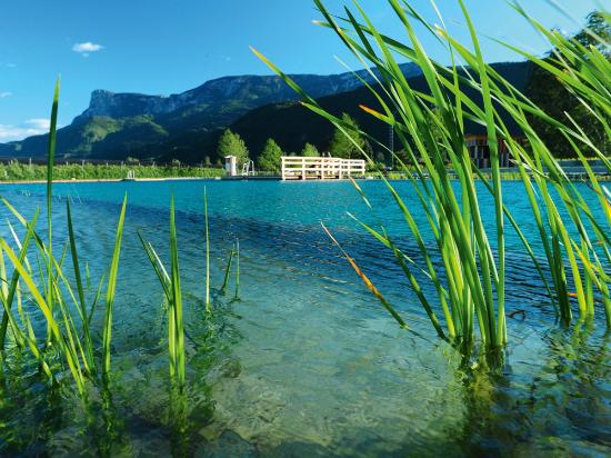 Piscina naturale Gargazzone