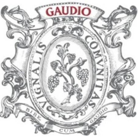 Gaudio Bricco Mondalino