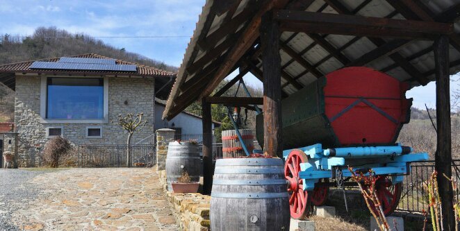 Azienda Agricola Mario Torelli