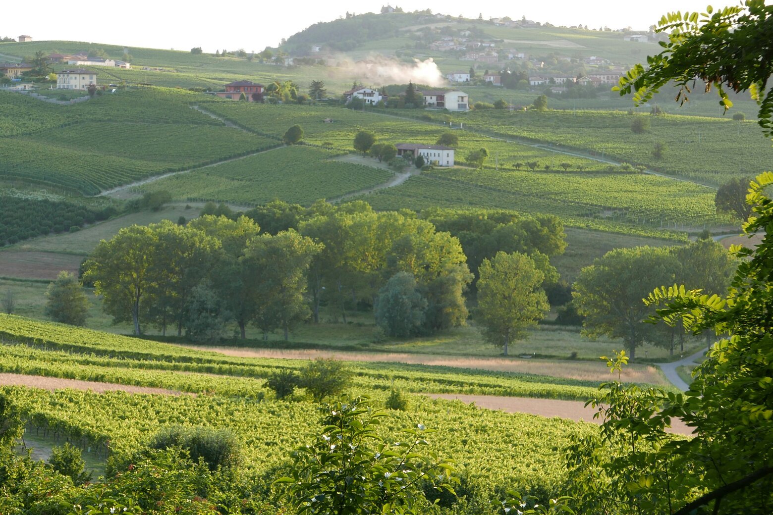 Azienda Dacasto Duilio