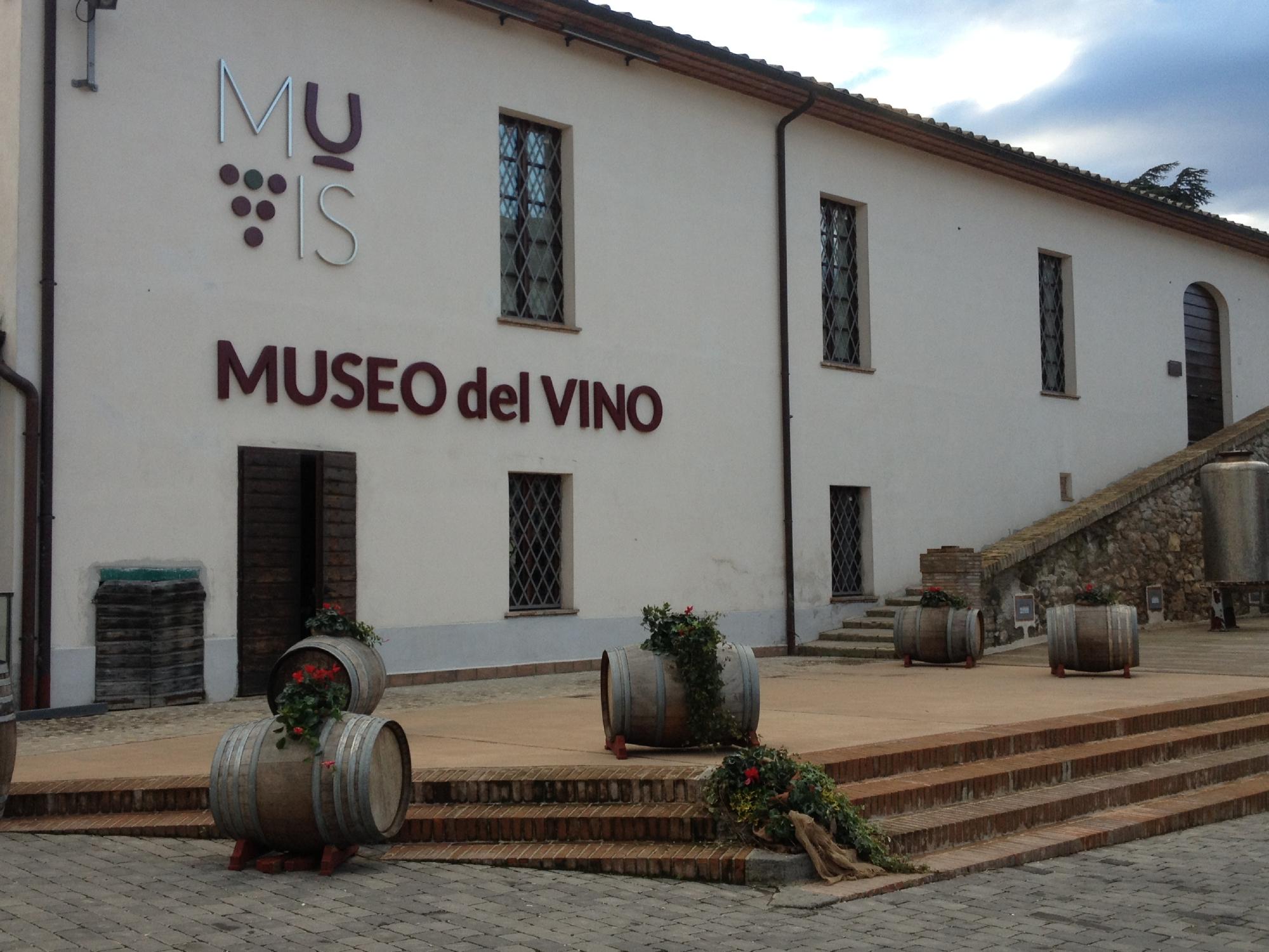 MUVIS - Museo del Vino