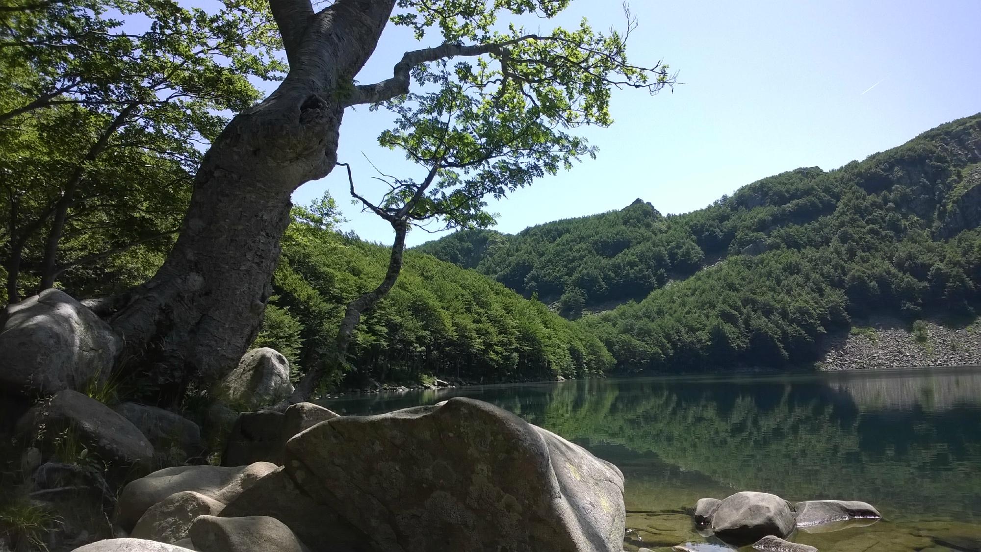 Parco Regionale Valli del Cedra e del Parma