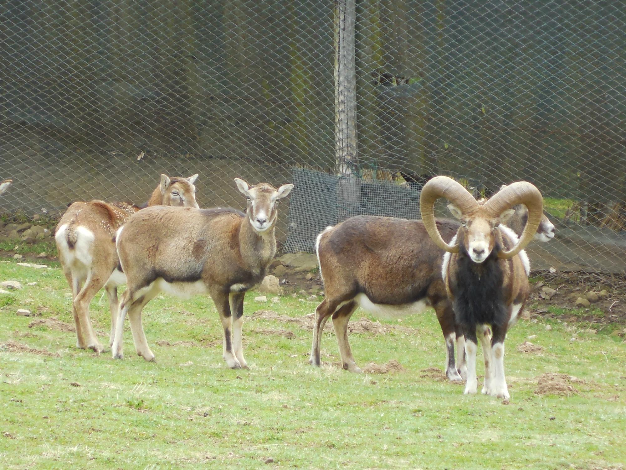 Parco dell'Orecchiella