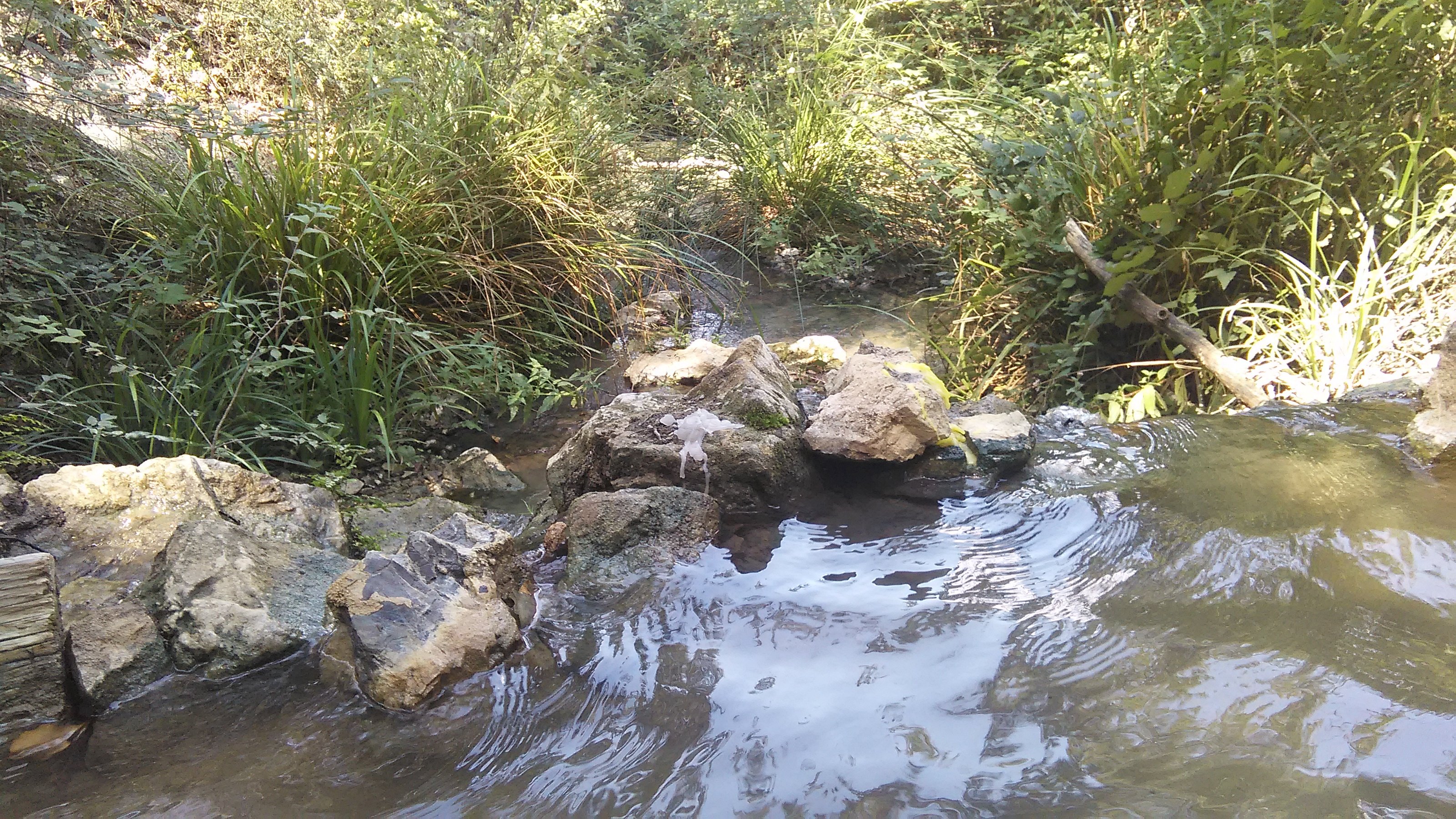 Complesso Termale Etrusco-Romano di Sasso Pisano