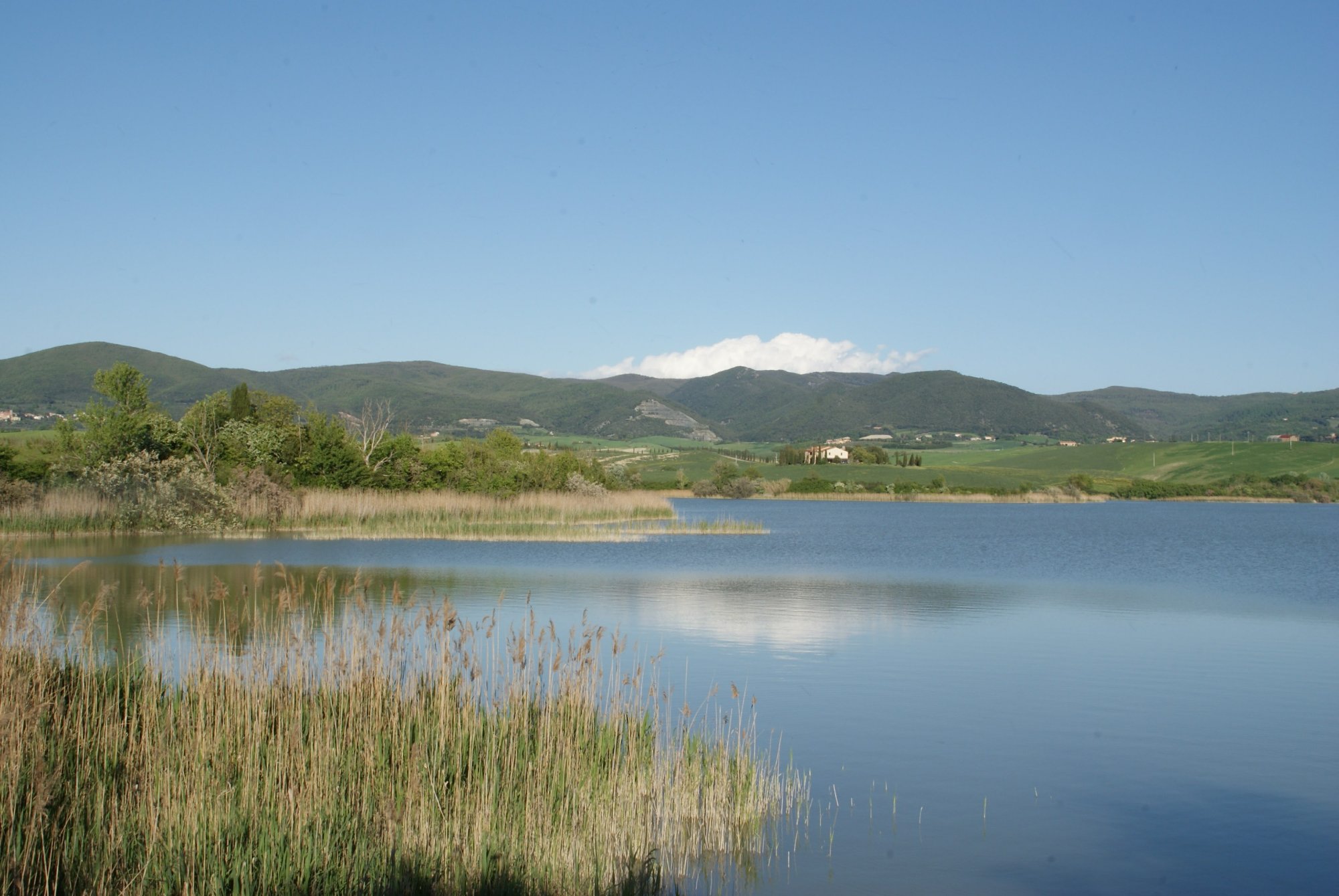 Riserva Naturale Regionale Lago di Santa Luce