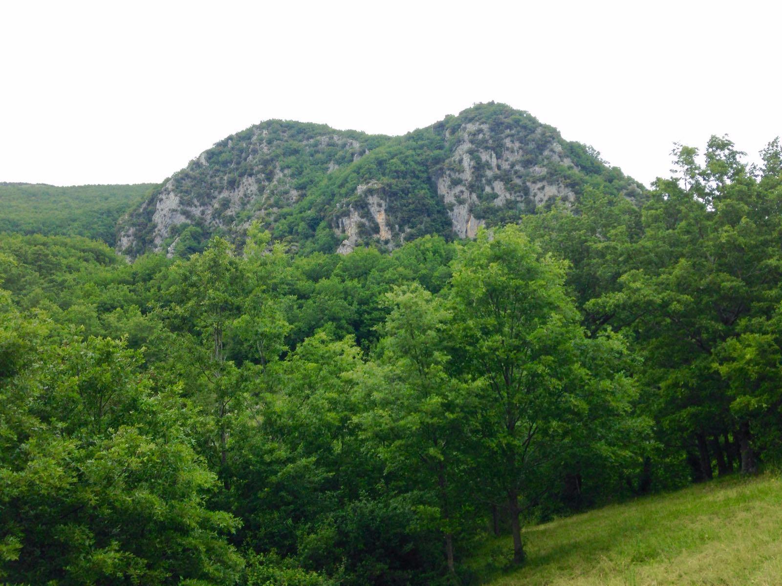 Fattoria Dell'oasi