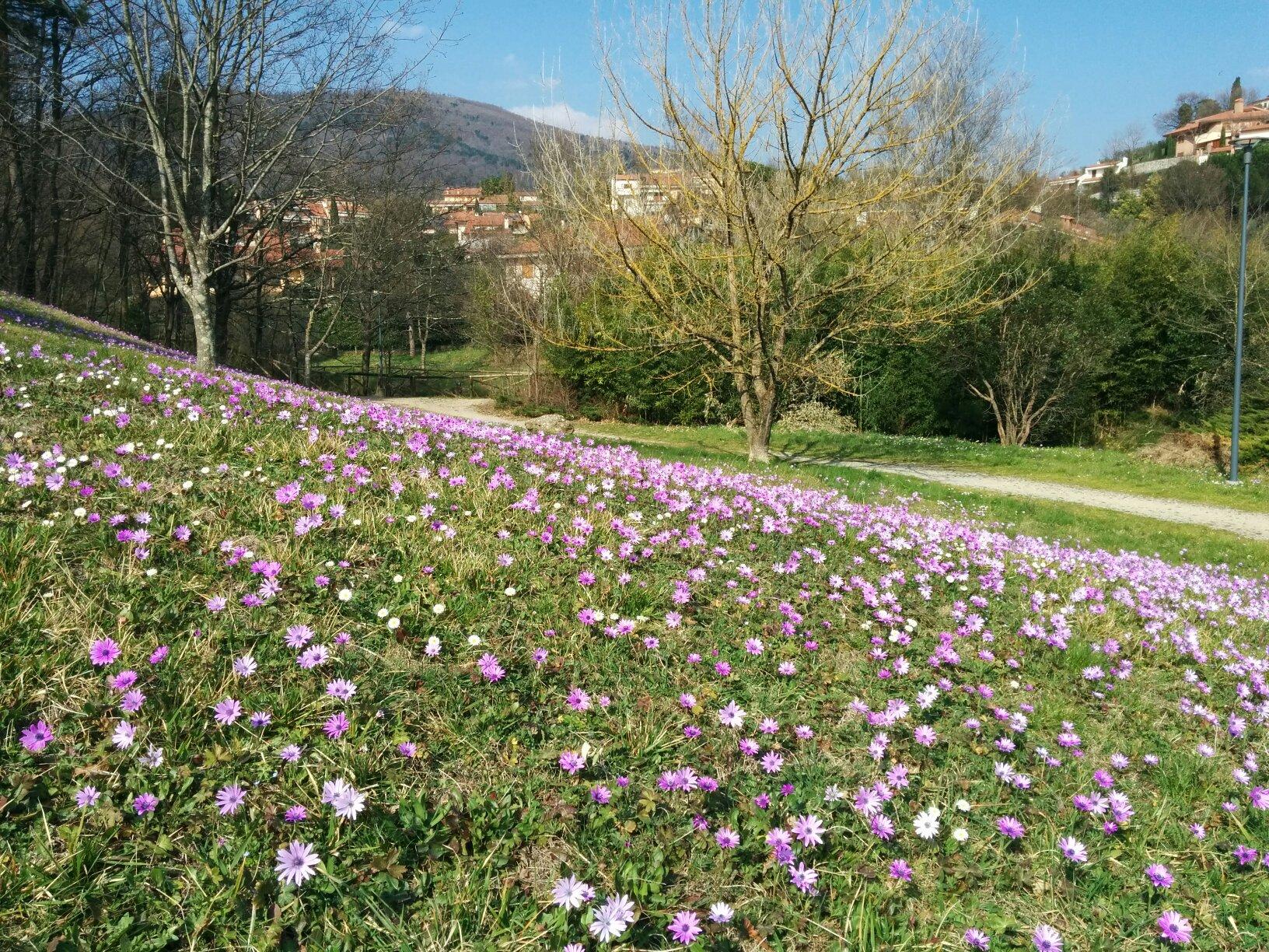 Parco naturale dell'Aringhese