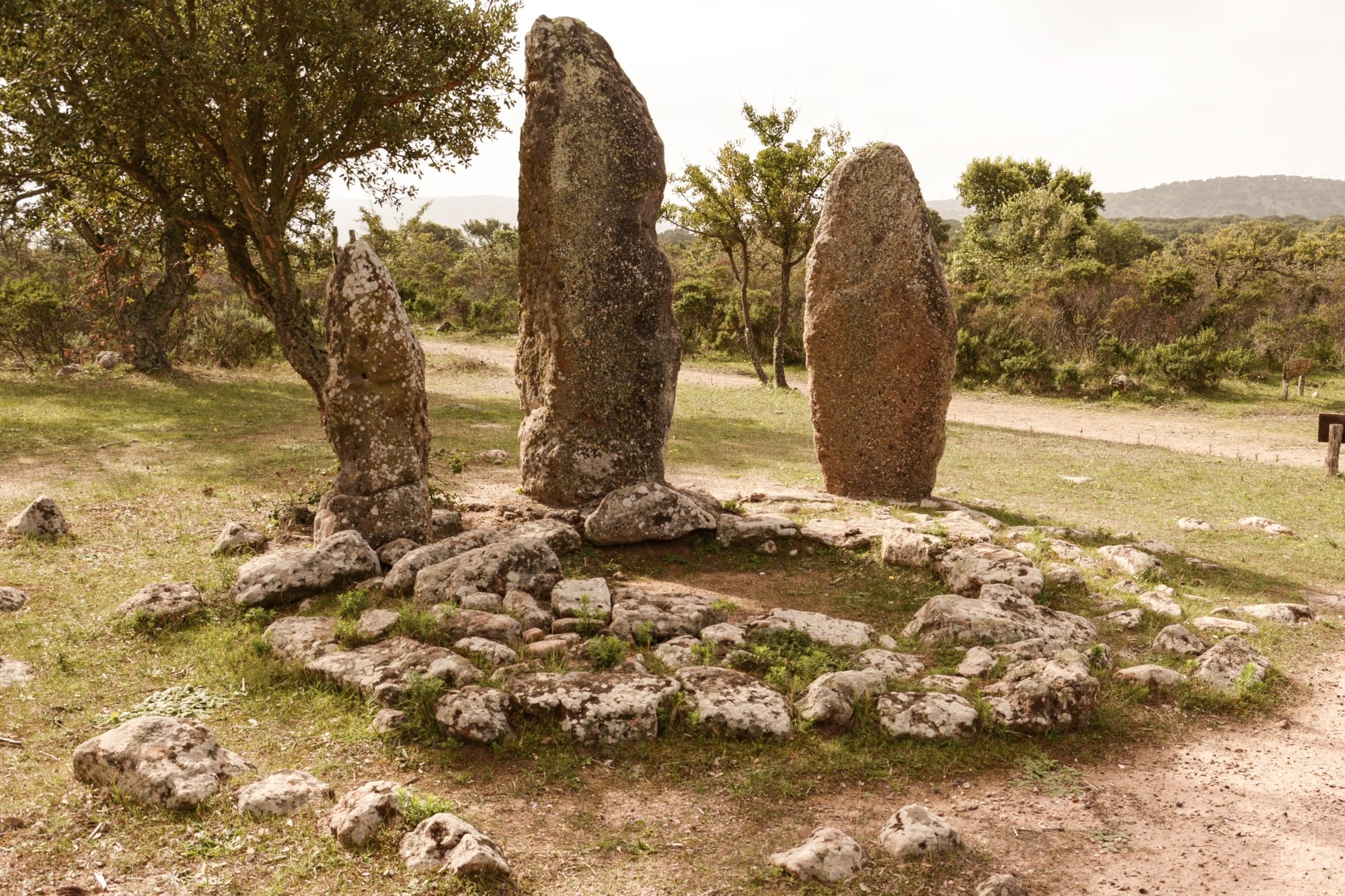 Parco Archeologico di Pranu Muttedu