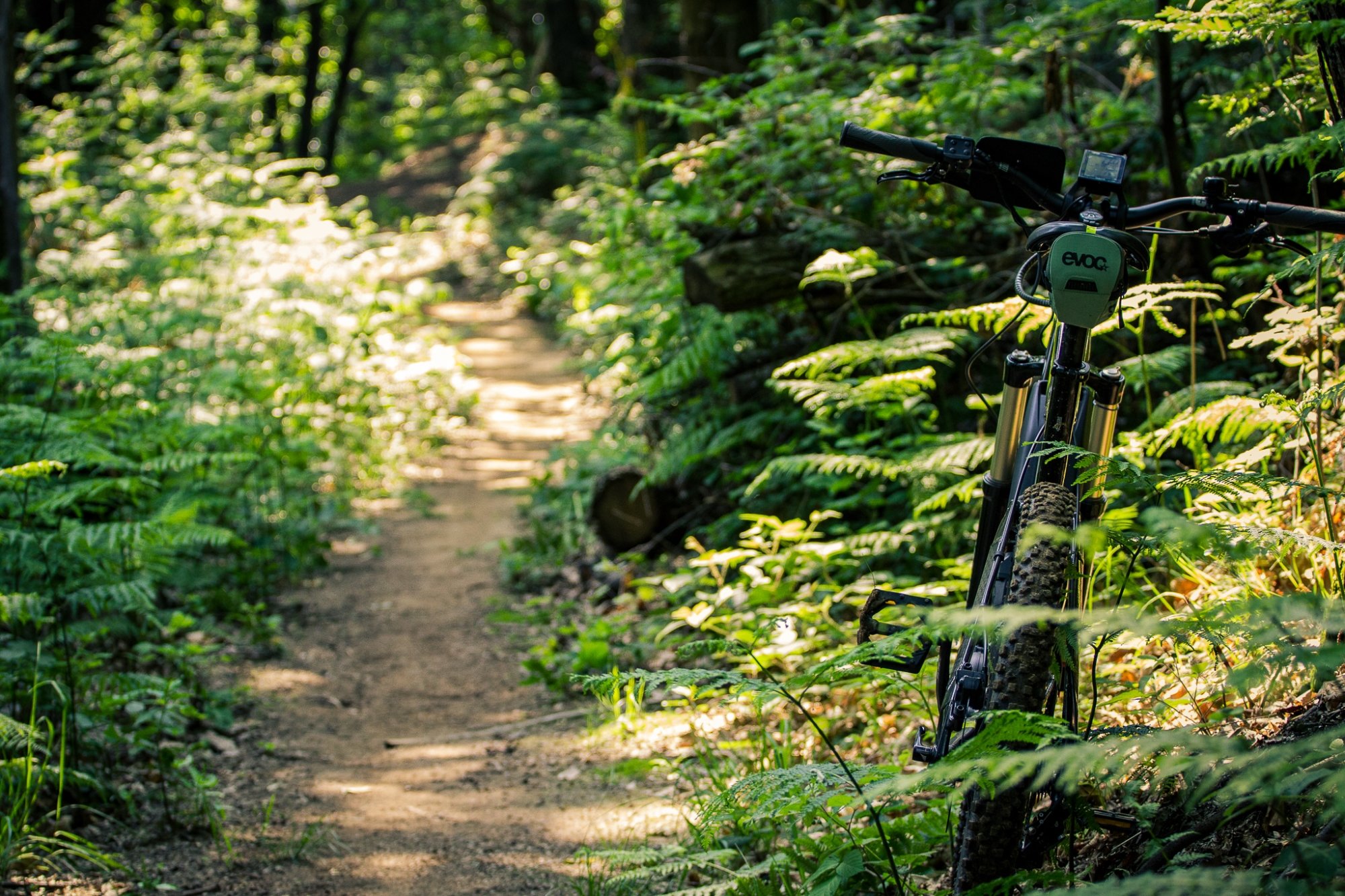 I Sentieri delle Volpi d'Invo - MTB Trails