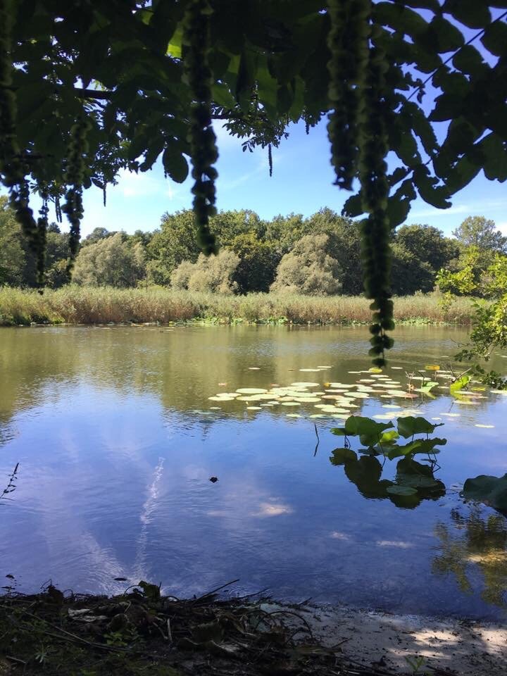 L'isolino Virginia