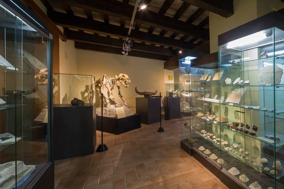 Museo di Storia Naturale Gagliole