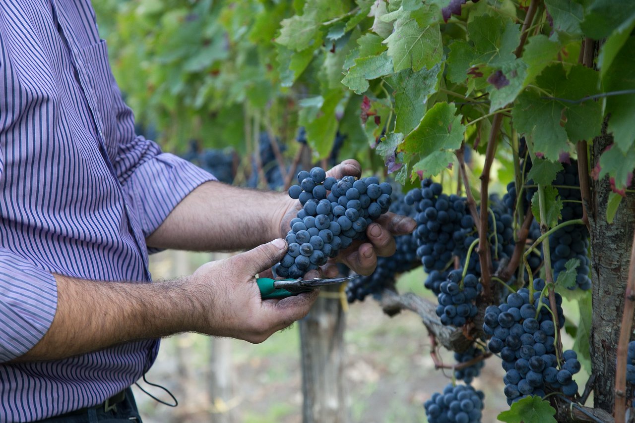 Cantine Ruggiero