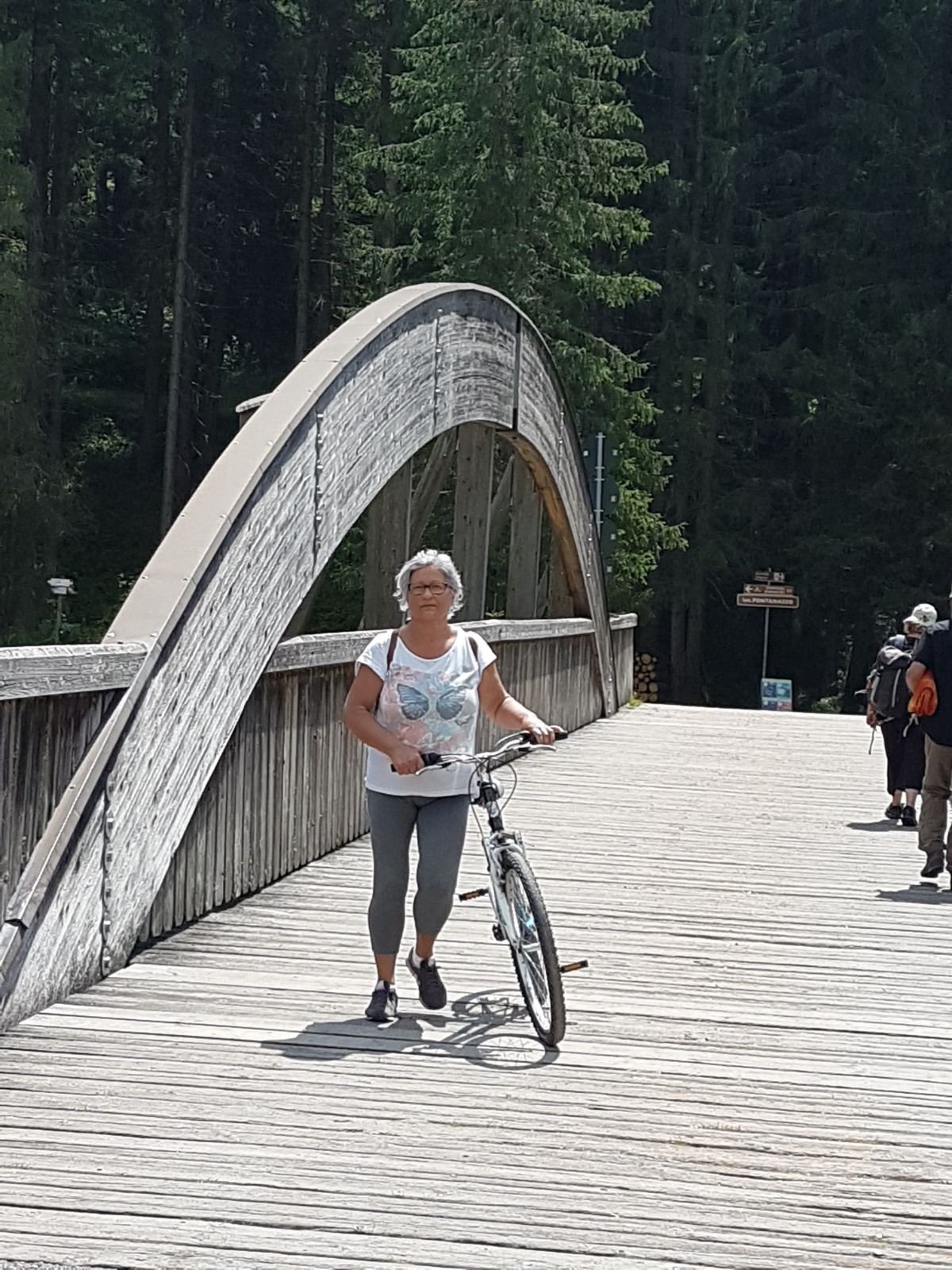 Pista Ciclabile delle Dolomiti