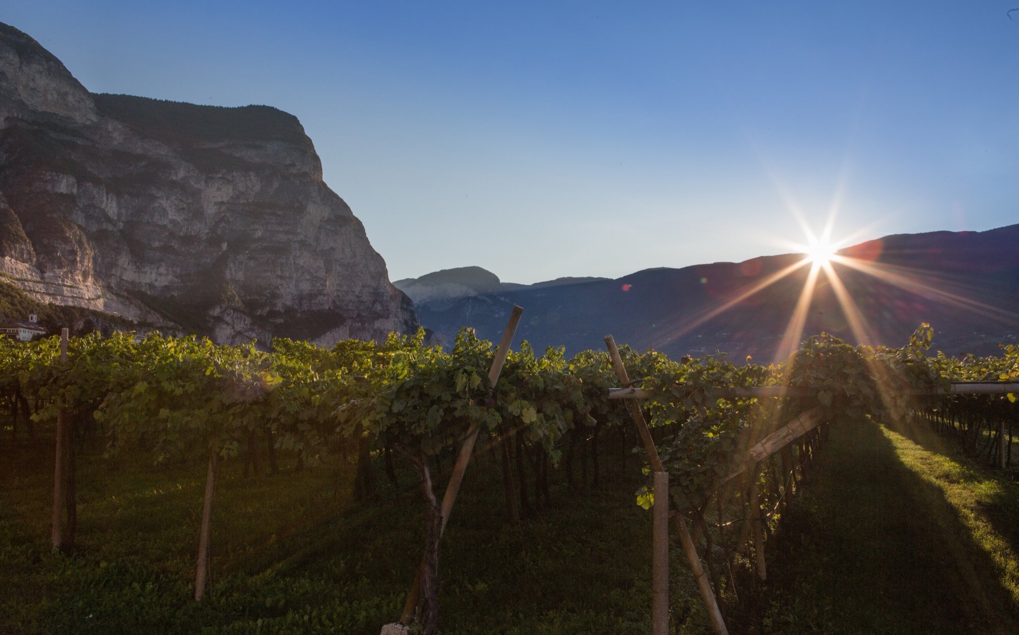 Cantina Roverè della Luna Aichholz