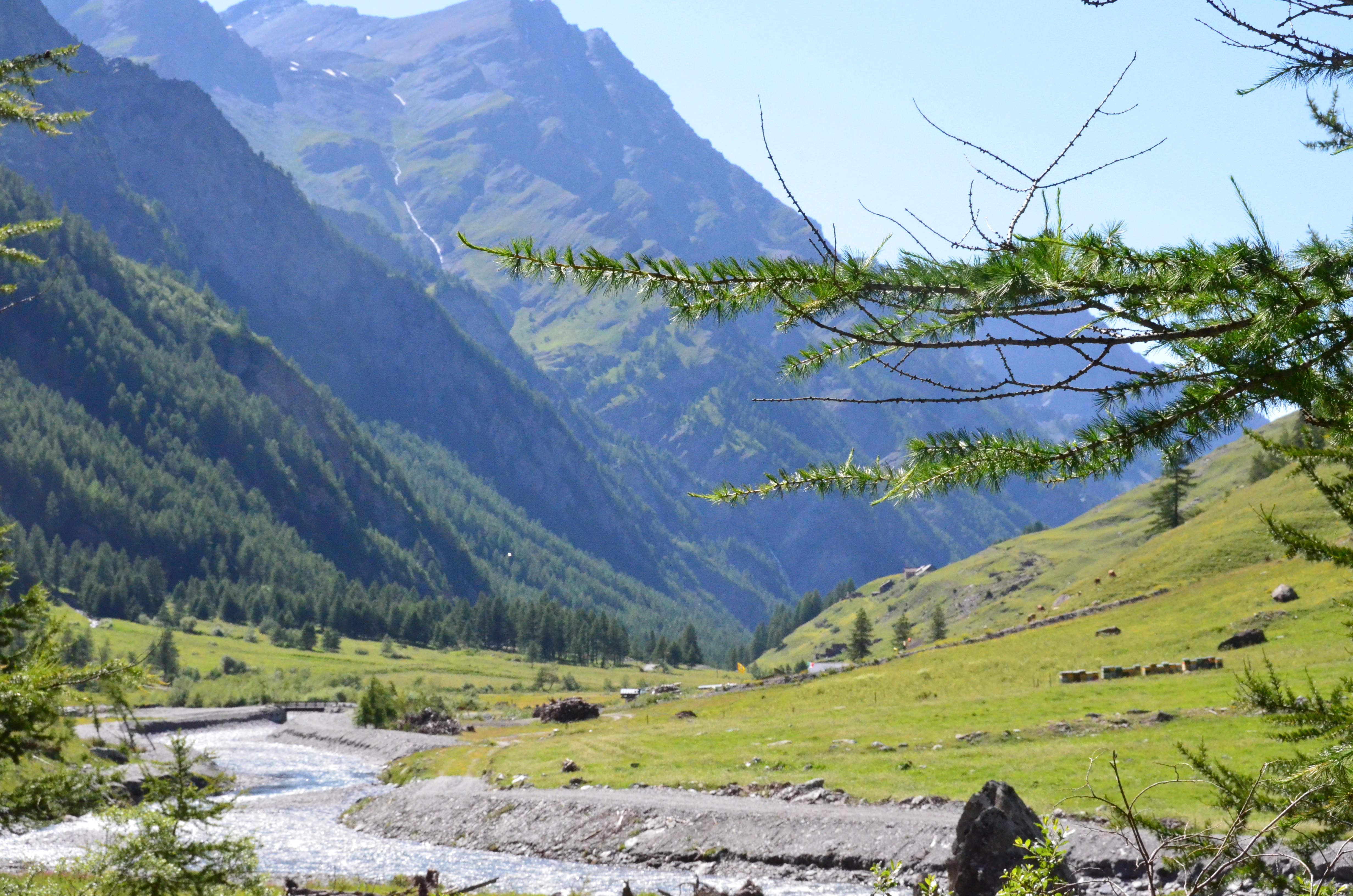 Valle Argentera