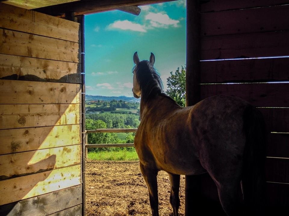 Turismo Equestre La Mura