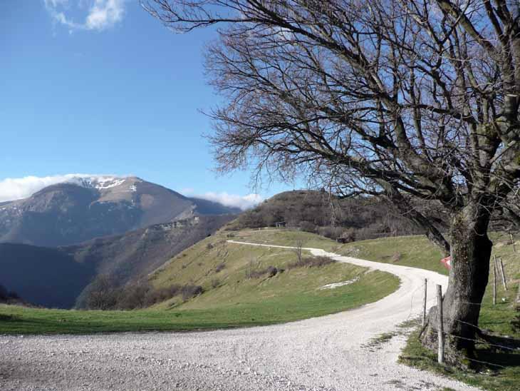 Umbria Goretti Private Day Tours