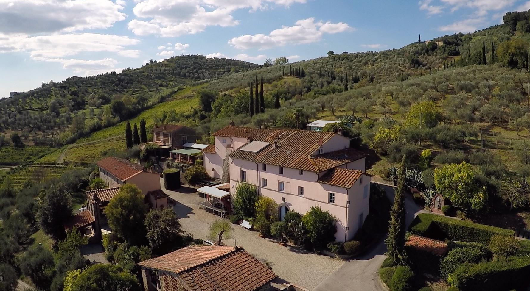 Fattoria Colle Verde