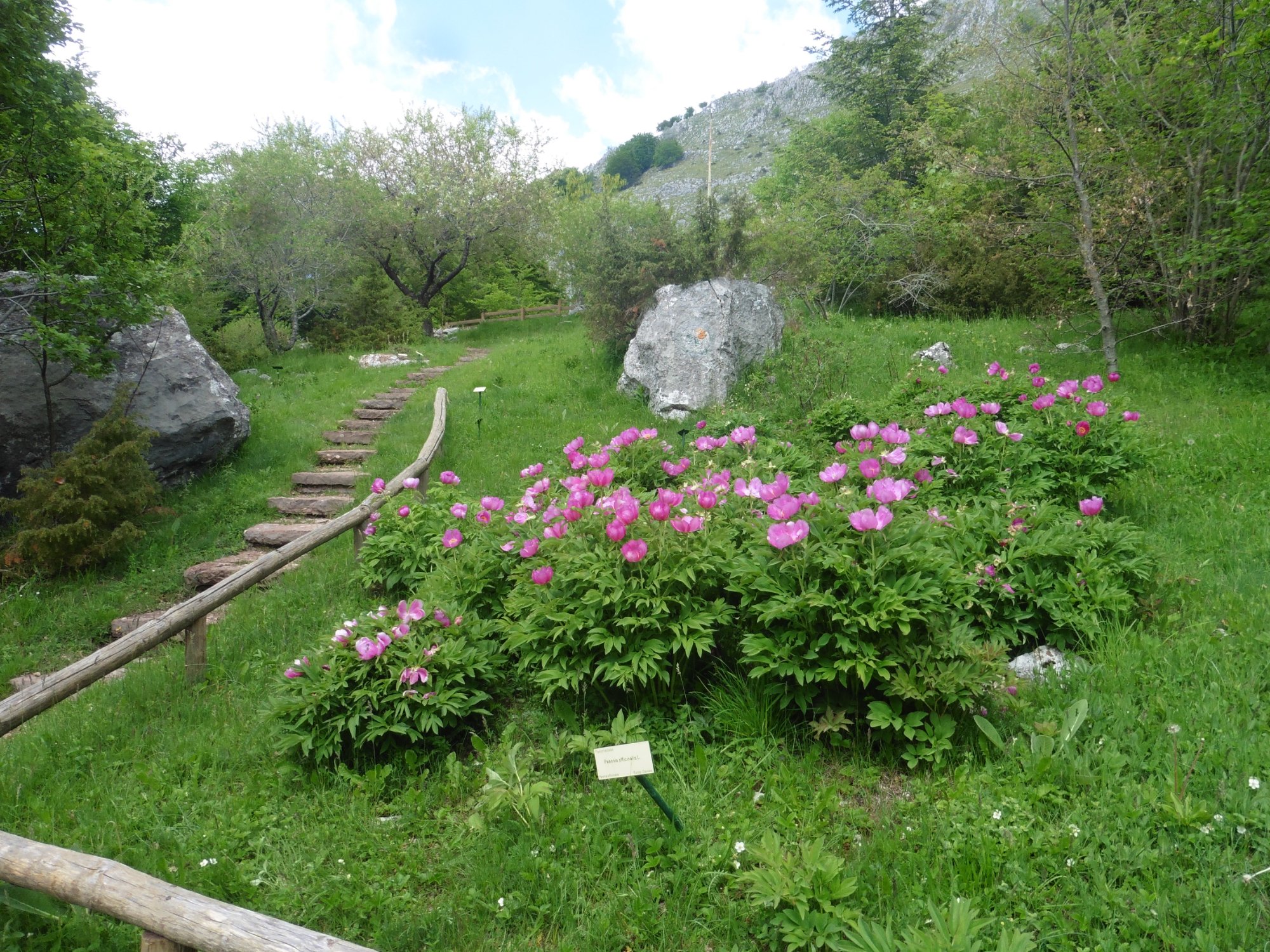 Giardino Botanico Maria Ansaldi Pania di Corfino