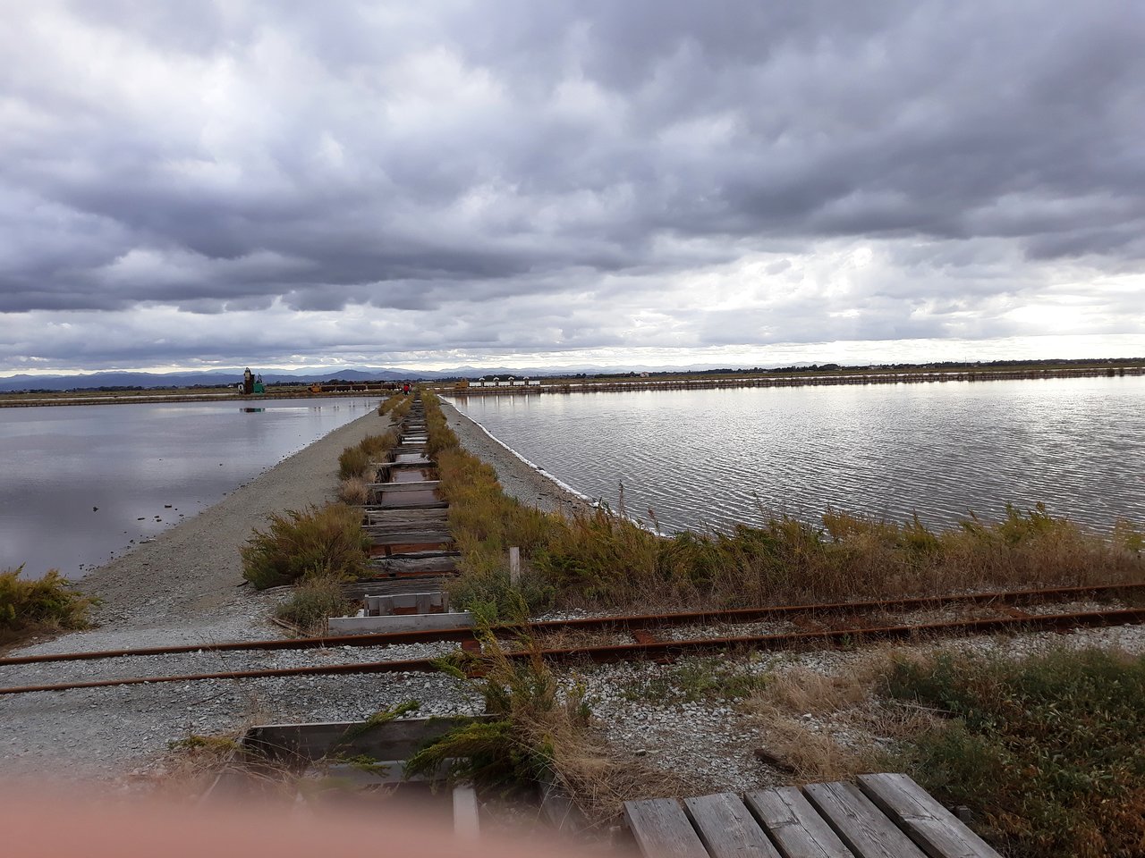 Salina di Cervia