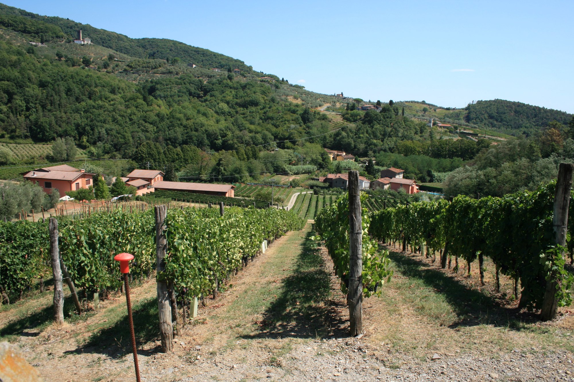 Azienda Agricola 